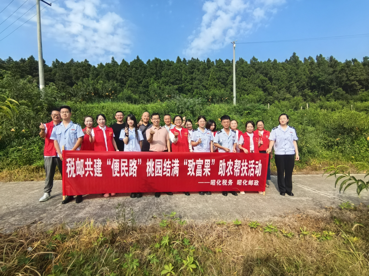 文明实践在行动|税邮携手直播助农 昭化东岩村黄桃香飘全国