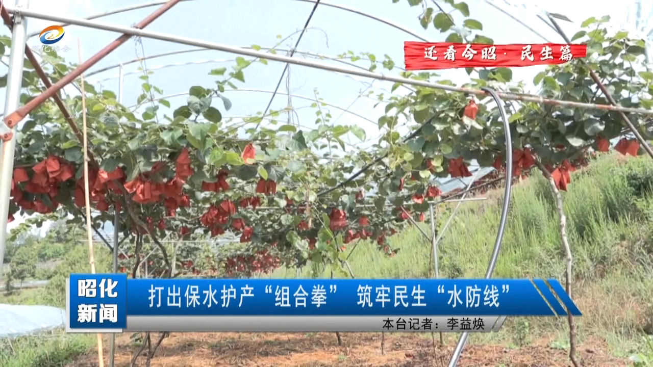 【还看今昭·民生篇】打出保水护产“组合拳” 筑牢民生“水防线”