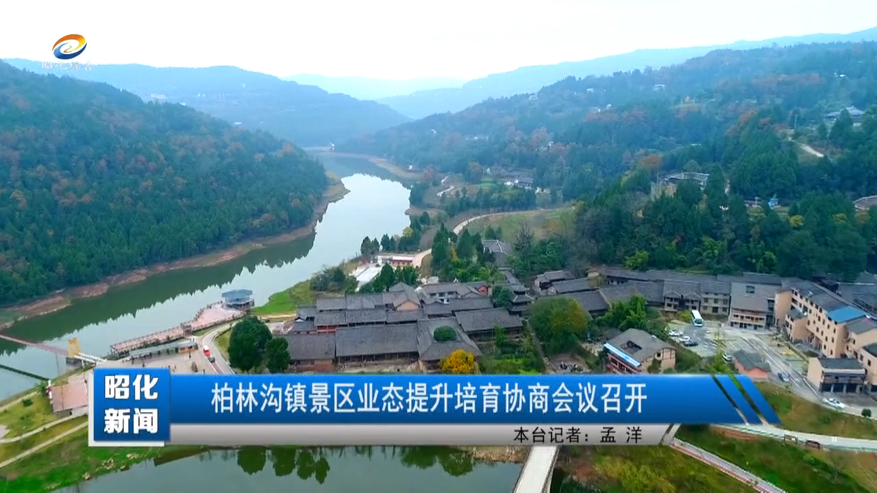 【昭化新闻】柏林沟镇景区业态提升培育协商会议召开