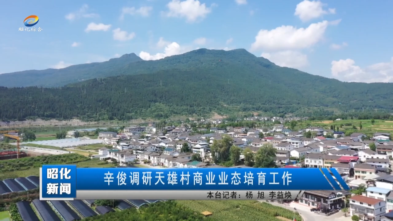 【昭化新闻】辛俊调研天雄村商业业态培育工作