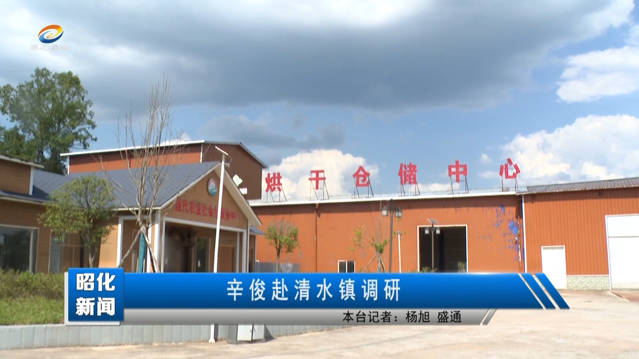【昭化新闻】辛俊赴清水镇调研
