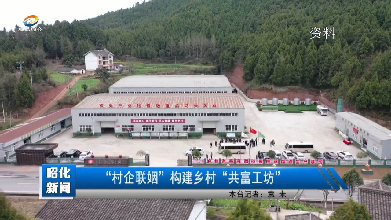 【昭化新闻】“村企联姻”构建乡村“共富工坊”