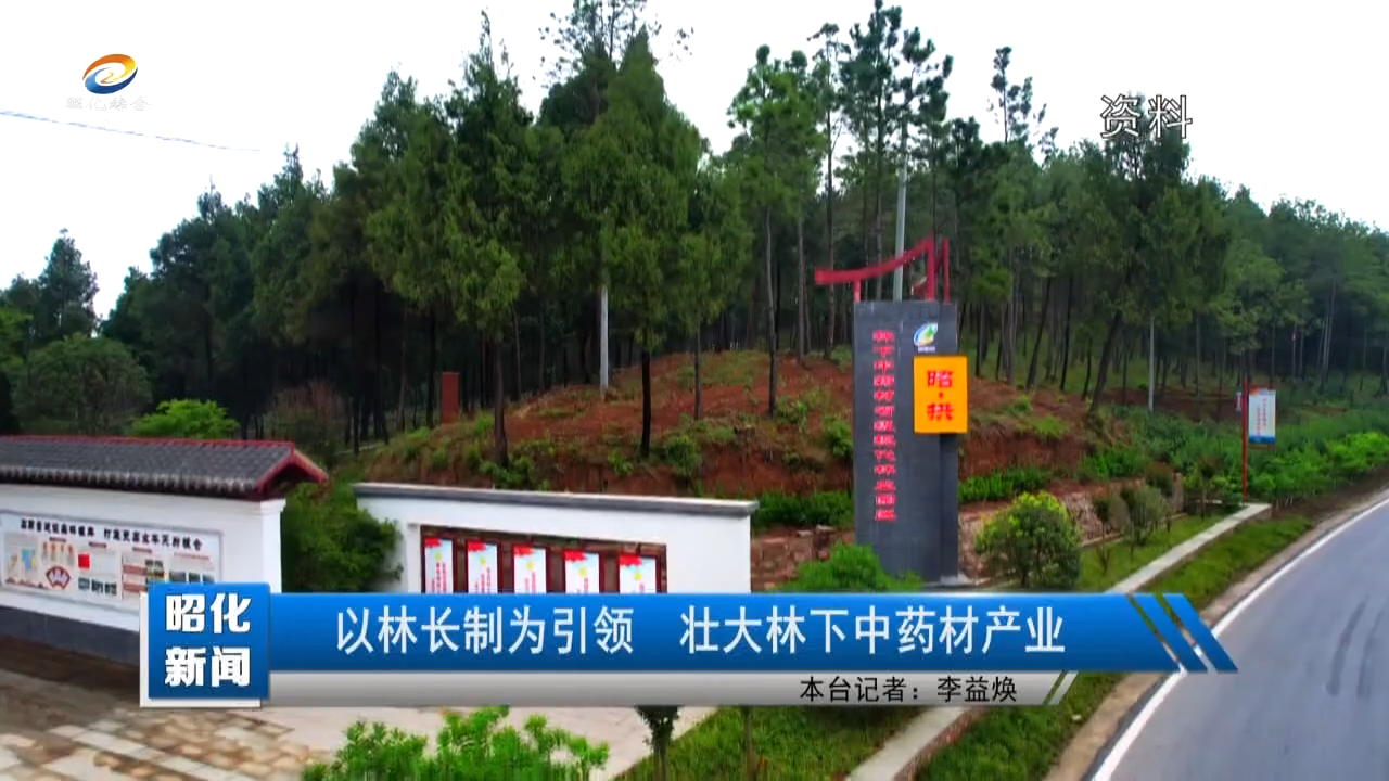 【昭化新闻】以林长制为引领  壮大林下中药材产业