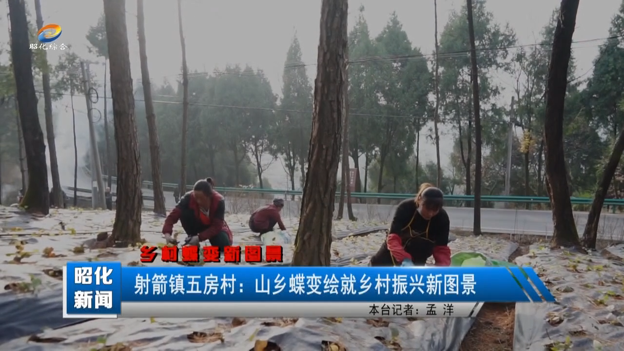 【昭化新闻】射箭镇五房村：山乡蝶变绘就乡村振兴新图景