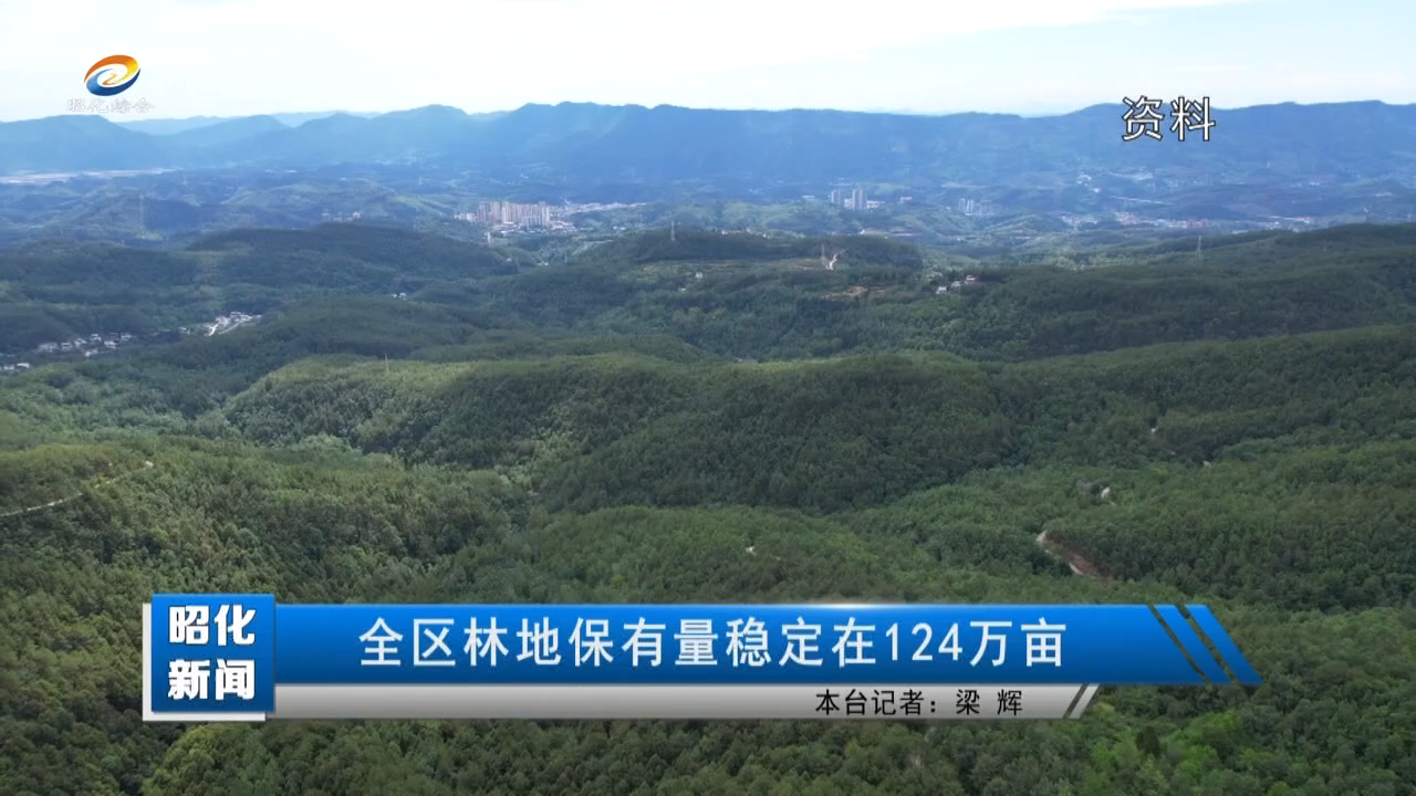 【昭化新闻】全区林地保有量稳定在124万亩