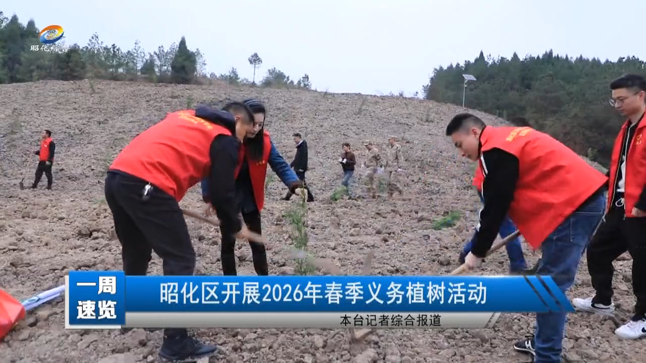 【一周速览】昭化区开展2026年春季义务植树活动