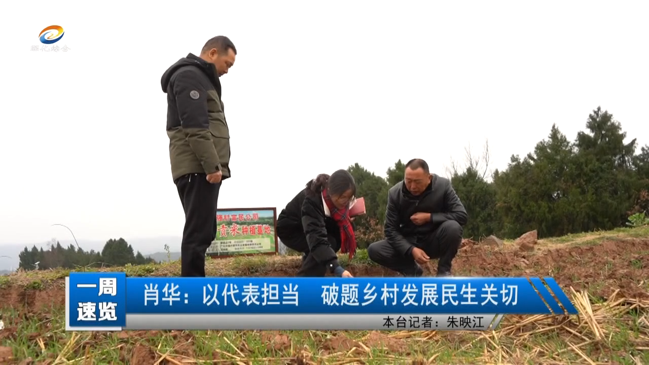 【建设现代化昭化 人大代表在行动】肖华：以代表担当 破题乡村发展民生关切