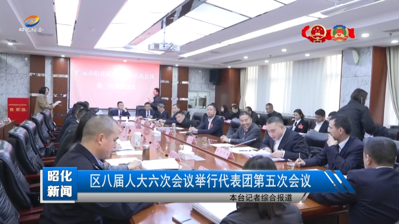 【昭化新闻】区八届人大六次会议举行代表团第五次会议
