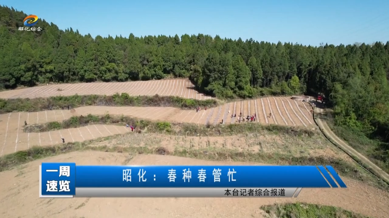 【一周速览】昭化：春种春管忙
