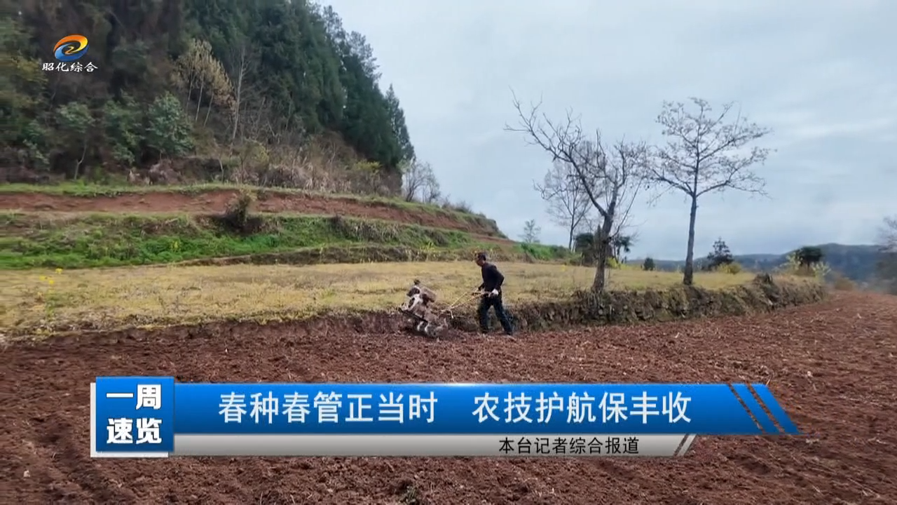 【一周速览】春种春管正当时 农技护航保丰收