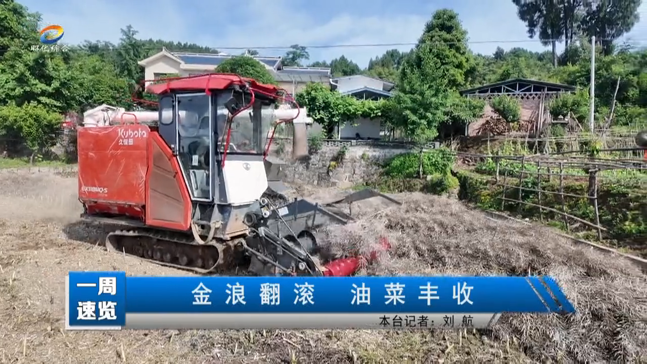 【一周速览】金浪翻滚 油菜丰收