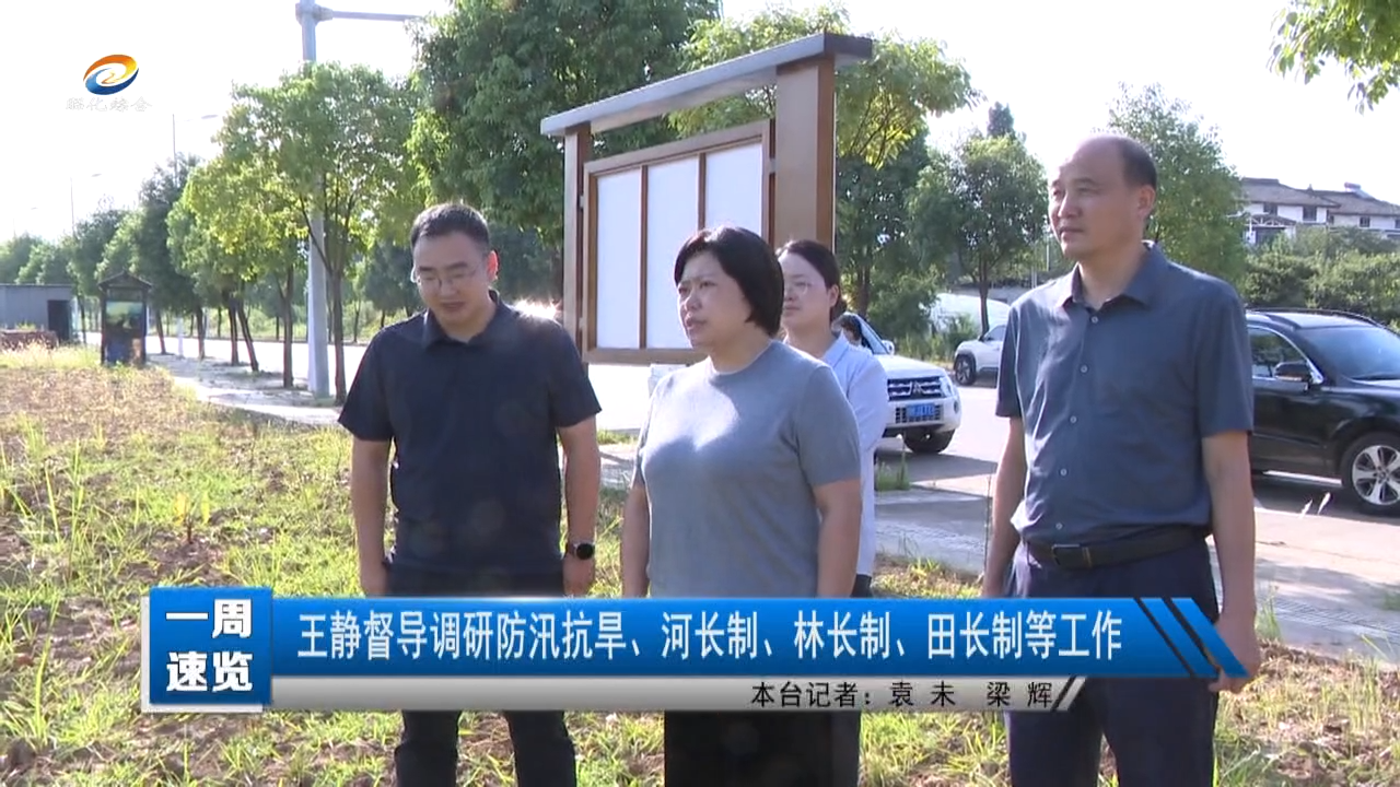 【一周速览】王静督导调研防汛抗旱、河长制、林长制、田长制等工作