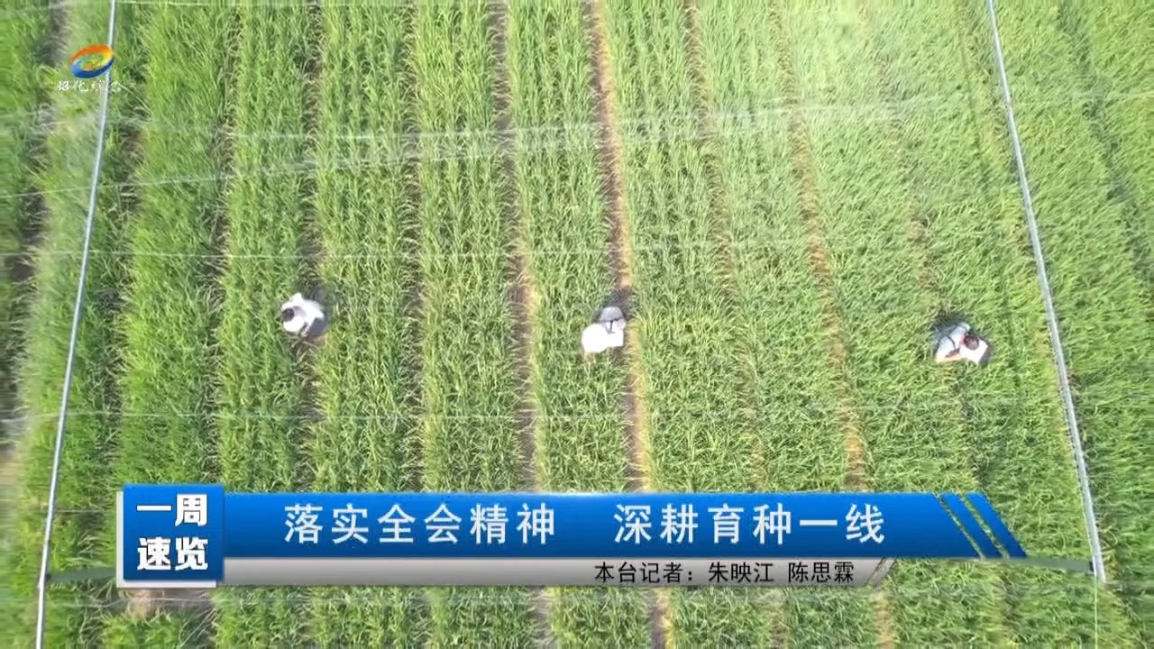 【一周速览】落实全会精神 深耕育种一线