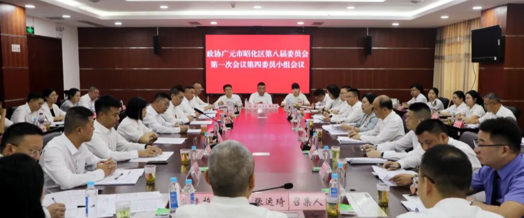【2026年昭化区两会特别报道】王静参加政协委员分组讨论